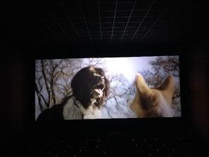 两个人相遇的背景音乐,相遇背后的动人音符