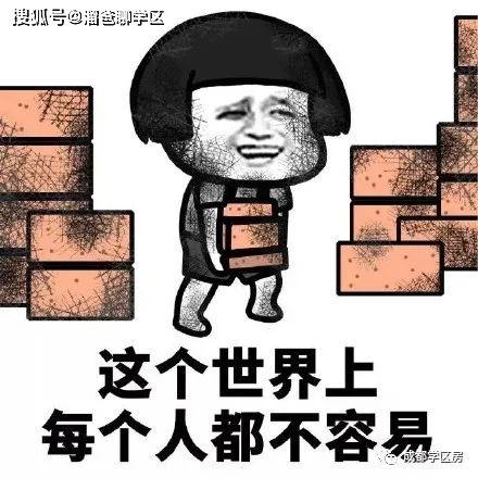 成都渣男背景,揭开都市情感陷阱的真相  第2张