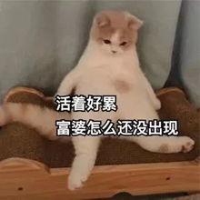 小蛮腰搞笑表情  第2张