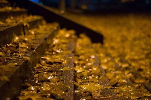 不认输的图片,坚韧意志的力量见证 第1张 不认输的图片,坚韧意志的力量见证 第1张