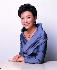 杨澜的个人资料,跨界人生，从主持人到企业家的华丽蜕变  第2张